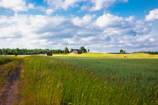 Country summer landscape Stock Image