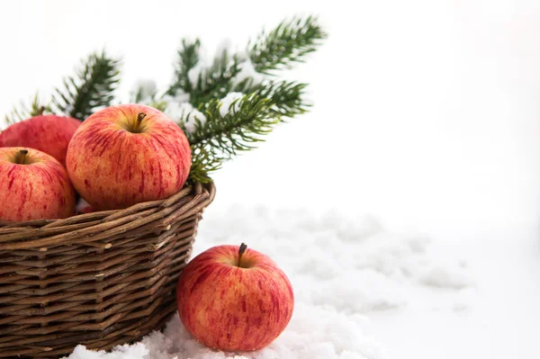 Рождественская композиция с красными яблоками в корзине и ветке С — стоковое фото