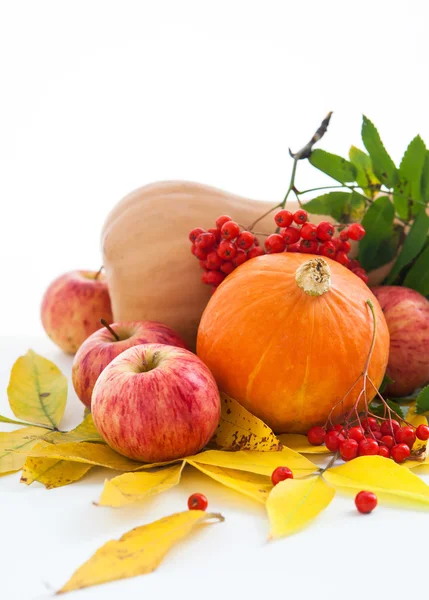 Autumnal pumpkins, apples and ashberry with fall leaves — Stock Photo, Image