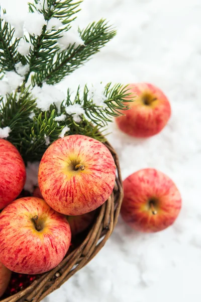 Posição de Natal com maçãs vermelhas e ramo de natal t — Fotografia de Stock