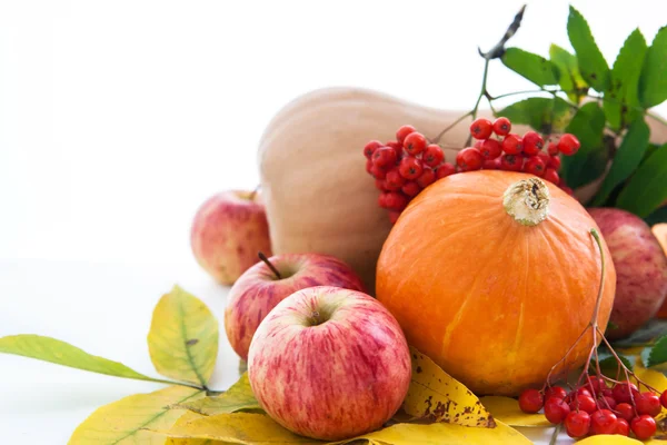 Autumnal pumpkins, apples and ashberry with fall leaves — Stock Photo, Image