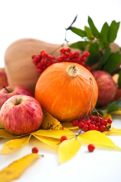 Jesienne dynie, jabłka i ashberry z liści jesienią — Zdjęcie stockowe