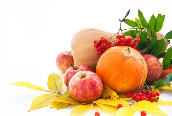 Autumnal pumpkins, apples and ashberry with fall leaves — Stock Photo, Image