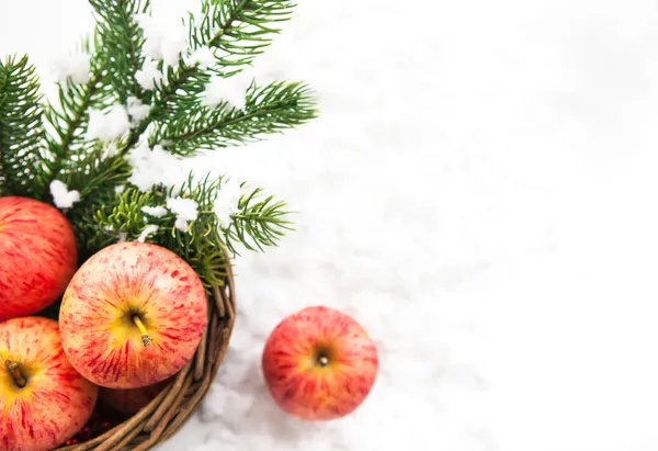 Composizione natalizia con mele rosse in cesto e ramo di sp — Foto Stock
