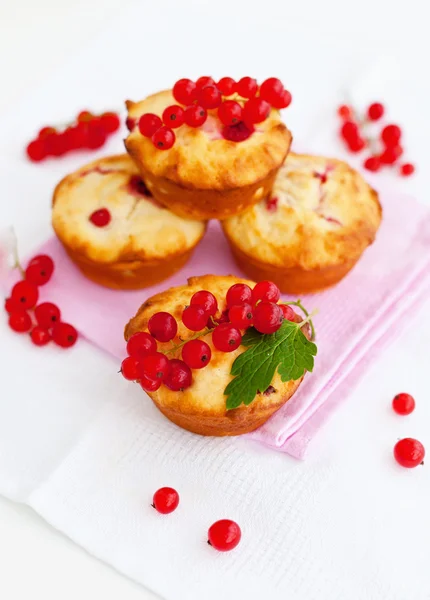 Rote Johannisbeeren-Muffins — Stockfoto