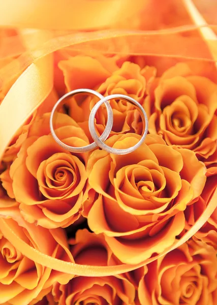 Zlaté snubní prsteny na oranžové růže — ストック写真