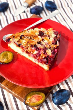 ev yapımı Erik turta