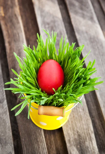 Colorido huevo de Pascua pintado en una hierba verde fresca —  Fotos de Stock