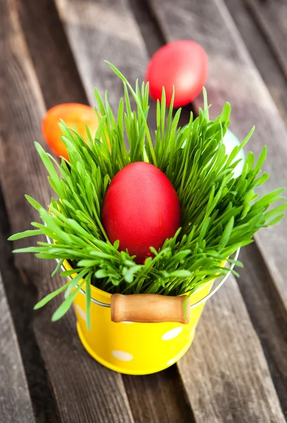 Colorful painted Easter egg on a fresh green grass — Stock Photo, Image