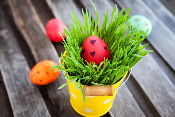 Colorful painted Easter egg on a fresh green grass — Stock Photo, Image