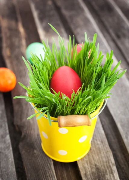 Colorido huevo de Pascua pintado en una hierba verde fresca —  Fotos de Stock