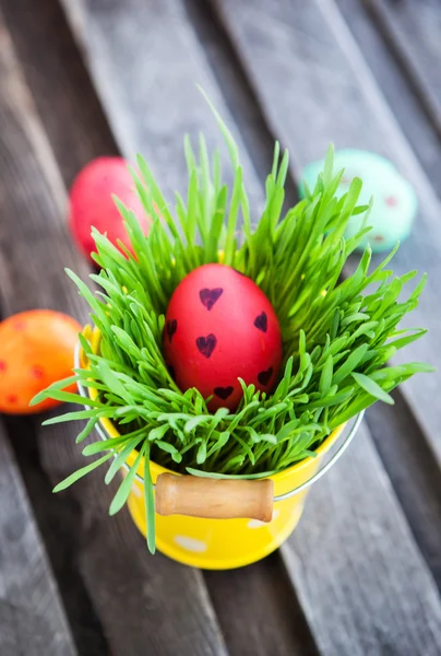 Colorful painted Easter egg on a fresh green grass — Stock Photo, Image