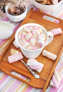 Marshmallow ile sıcak kakao bir fincan