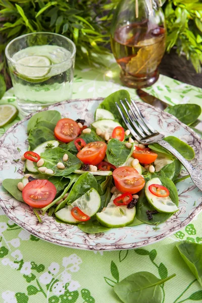 Healthy fresh spring salad — Stock Photo, Image