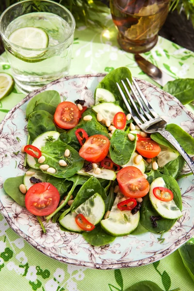 Egészséges, friss tavaszi saláta — Stock Fotó