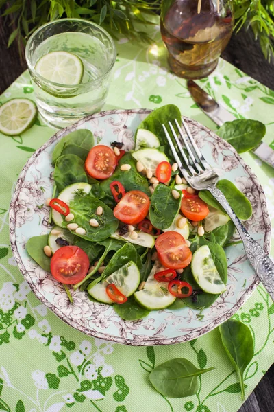 Sağlıklı taze bahar salatası — Stok fotoğraf