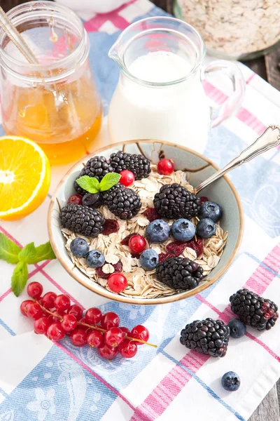 健康的早餐，配上燕麦和新鲜浆果 — 图库照片