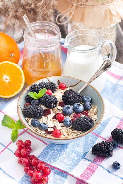 健康的早餐，配上燕麦和新鲜浆果 — 图库照片