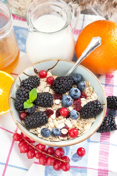 Healthy breakfast with granola and fresh berries — Stock Photo, Image