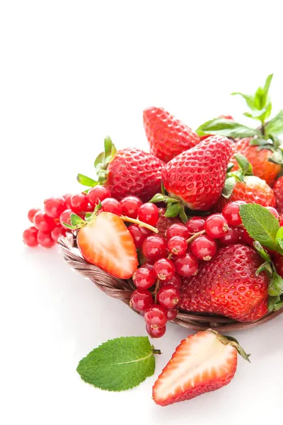Fresh strawberry and redcurrant on white — Stock Photo, Image