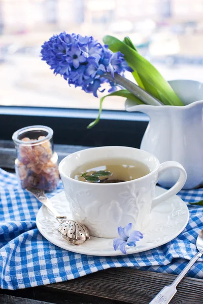Cup of fresh herbal tea — Stock Photo, Image