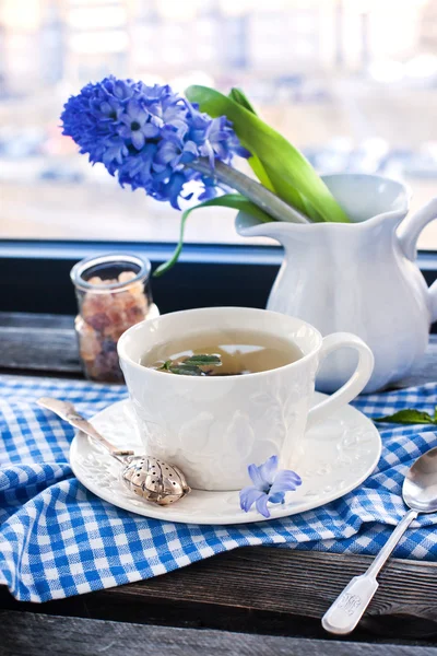 Cup of fresh herbal tea — Stock Photo, Image