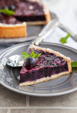 Yaban mersinli pasta plaka