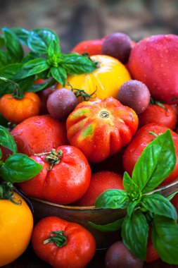 Kırsal zeminde taze kırmızı ve sarı domatesler.