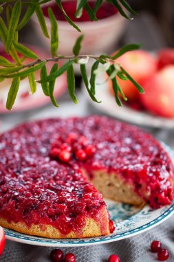 Kırsal arka planda yaban mersinli kek