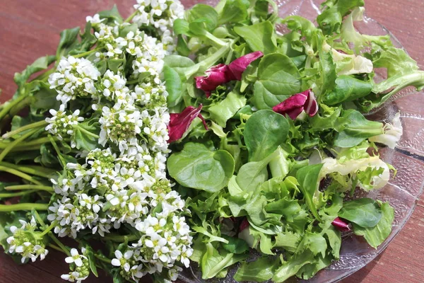 Gemengde Salade Met Schurfgras Een Oude Tafel — Stockfoto