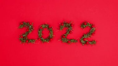2022 'deki yanıp sönen ışıklar çam dalları ve kırmızı kutsal meyvelerden yapılmıştır. Hareketi durdur