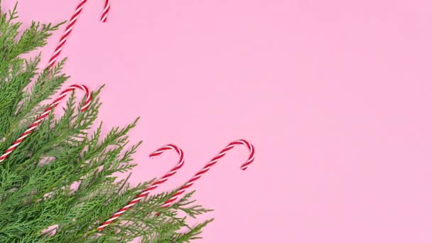 Decorazione Natale Rosa Rosso Pino Con Caramelle Babbo Natale Sul — Video Stock