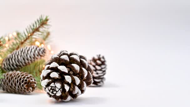 用真正的冷杉树枝和球果在圣诞安排上闪烁灯光 停止运动 — 图库视频影像