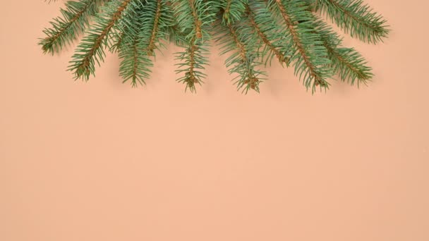 杉树枝条出现在橘红色的主题之上 停止运动 — 图库视频影像