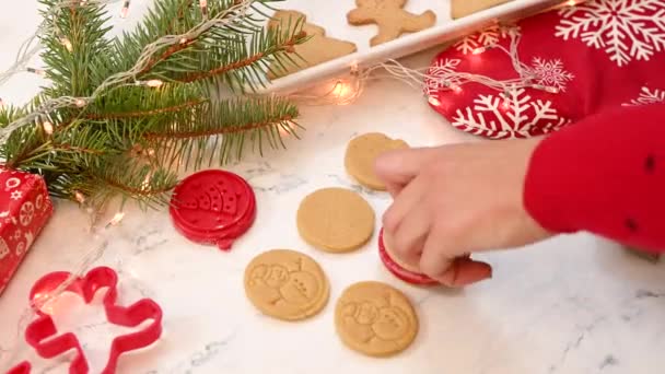 Decorar Biscoitos Gengibre Natal Com Carimbo Diferentes Formas Natal Fazer — Vídeo de Stock