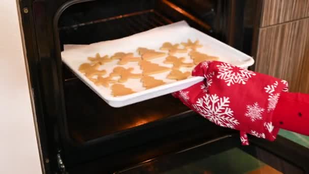 Zet Bakplaat Met Traditionele Zelfgemaakte Kerstkoekjes Oven — Stockvideo