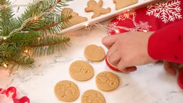 Decorare Biscotti Pan Zenzero Natale Con Timbro Diverse Forme Natale — Video Stock