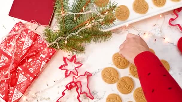 異なる形状のスタンプでクリスマスジンジャーブレッドクッキーを飾る クリスマスクッキー作り — ストック動画