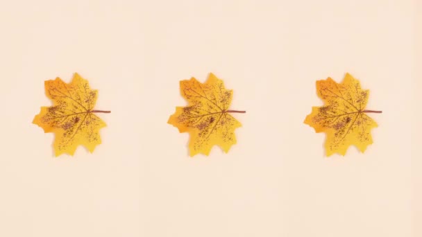 Tres Hojas Otoño Giran Sobre Fondo Claro Detener Movimiento — Vídeo de stock