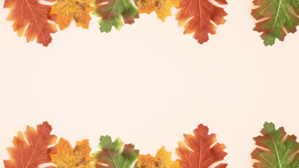 Herbstrahmen Mit Blättern Zum Thema Licht Für Den Text Stop — Stockvideo