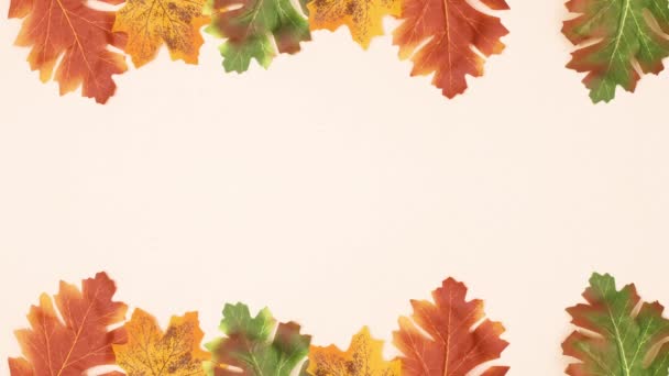 Cadre Automne Avec Feuilles Sur Thème Lumière Pour Texte Stop — Video