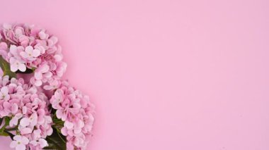 Pastel pembe temada üç güzel romantik pastel pembe çiçek dalı belirir. Hareketi durdur
