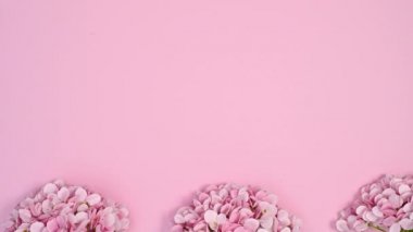 Romantik pastel bahar çiçekleri pastel pembe temanın altında belirir. Hareketi durdur