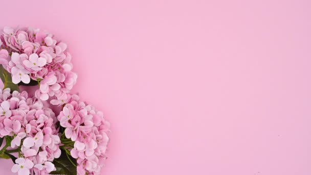 Trzy Gałęzie Piękne Romantyczne Różowe Kwiaty Pastelowe Pojawiają Się Pastelowy — Wideo stockowe