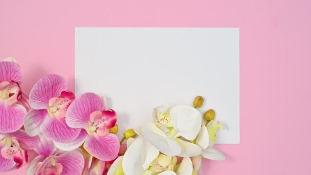 Romantische Rosa Und Weiße Orchideen Und Weißes Papier Für Den — Stockvideo