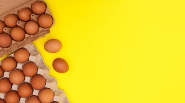 Canlı sarı arka planda, kart kutularındaki organik taze yumurtalar. FLat Paskalya yemeği kompozisyonu koydu