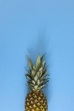 Pastel mavi arka planda taze organik ananas. Düz uzanmış tropik meyve kopyalama alanı