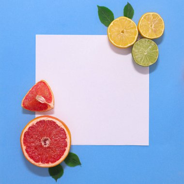 Pastel mavi arka planda dilimlenmiş turunçgil meyveli yaratıcı kağıt kart notu. Düz greyfurt limon ve limon konsepti