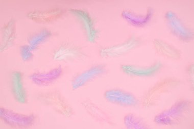 Pastel parlak pembe arka planda zarif tüyleri olan yaratıcı Paskalya deseni. Dümdüz uzanıyordu. Bahar tatili kavramı
