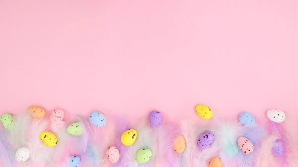 Pastell Trendiga Färg Fjädrar Ljus Rosa Bakgrund Med Färgglada Ägg — Stockfoto